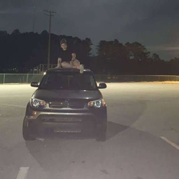 taylorhogsed